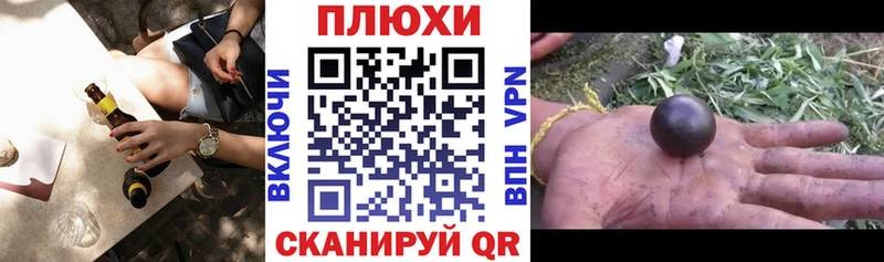 Купить где  Боровск  Гашиш индика сатива 