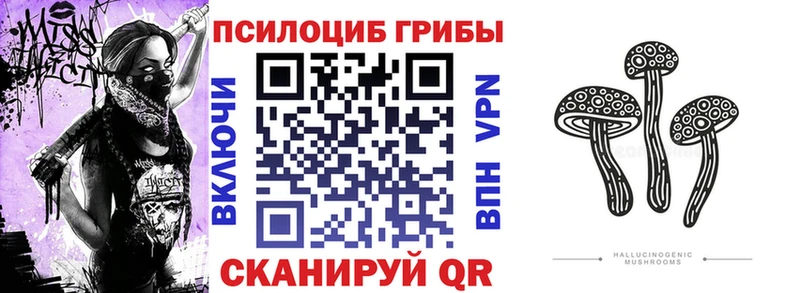 Купить закладки  Боровск  Псилоцибиновые грибы прущие грибы 